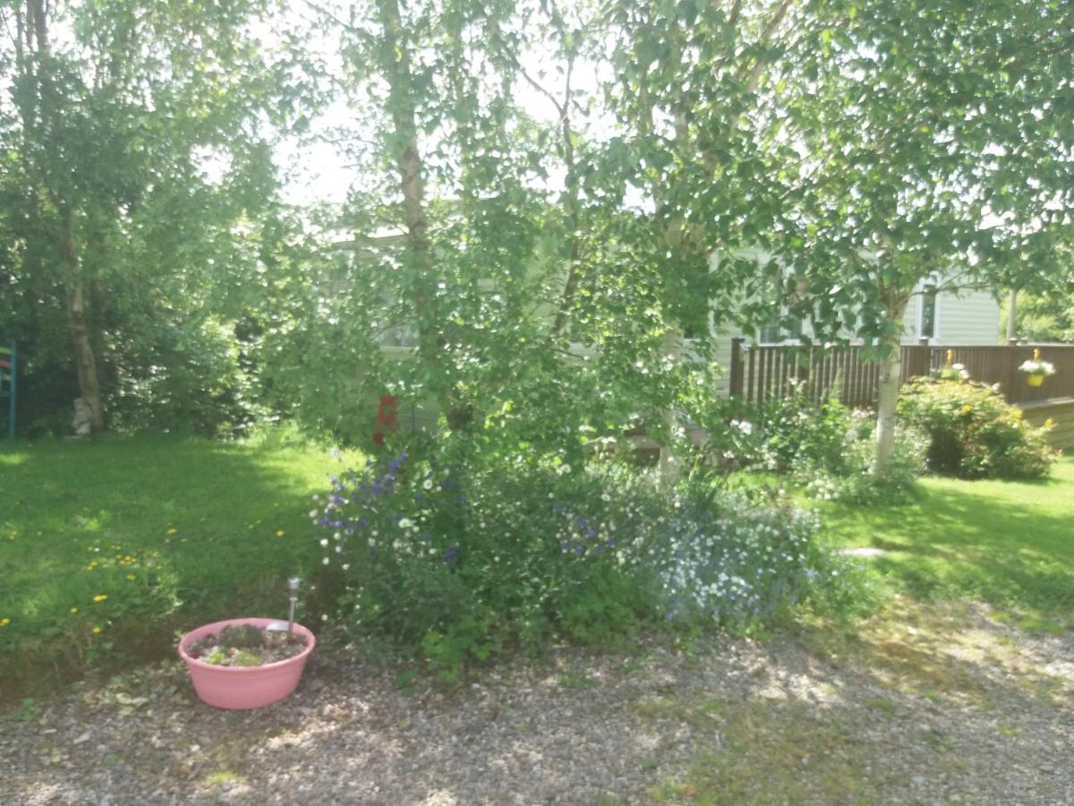 Hills View Accommadation Borrisoleigh Extérieur photo