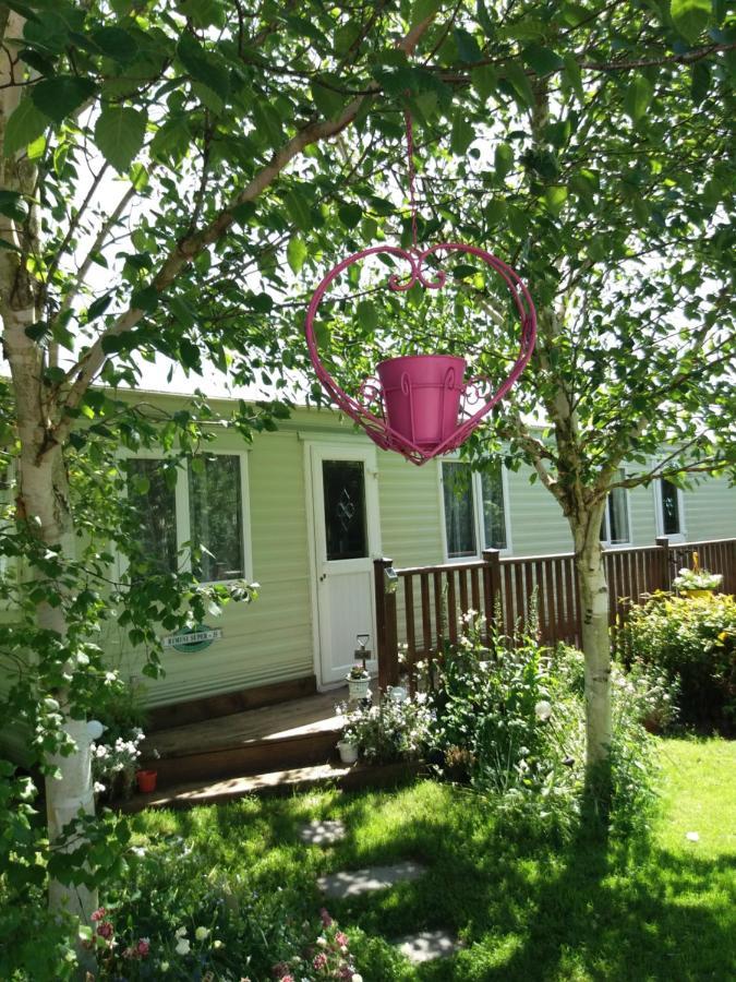 Hills View Accommadation Borrisoleigh Extérieur photo